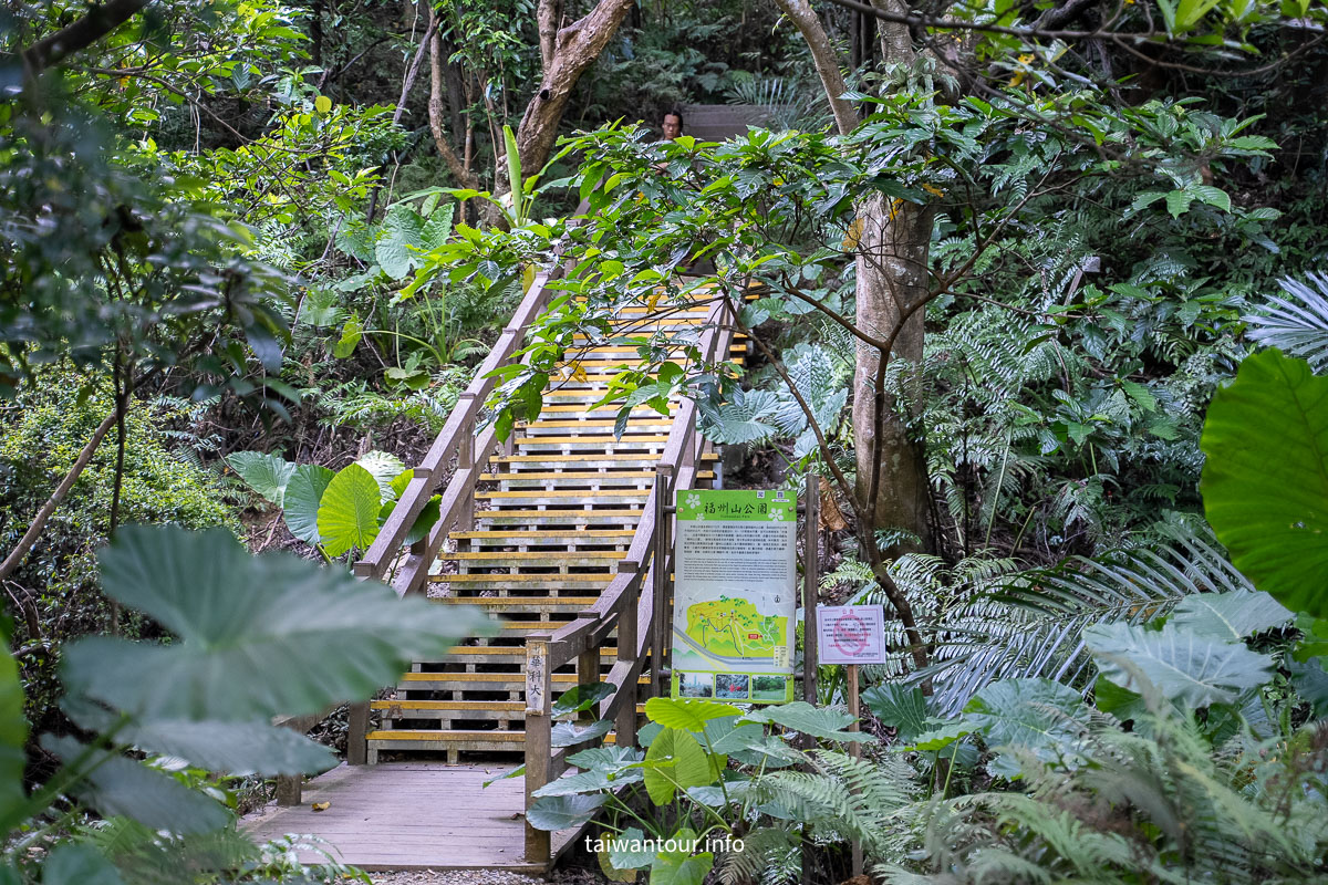 【富陽自然生態公園】台北森林系秘密基地完整指南