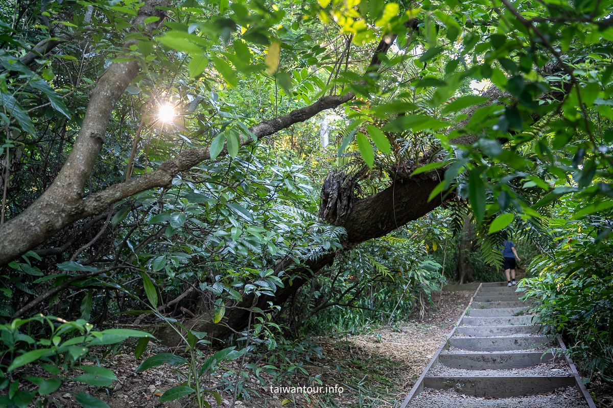 【富陽自然生態公園】台北森林系秘密基地完整指南