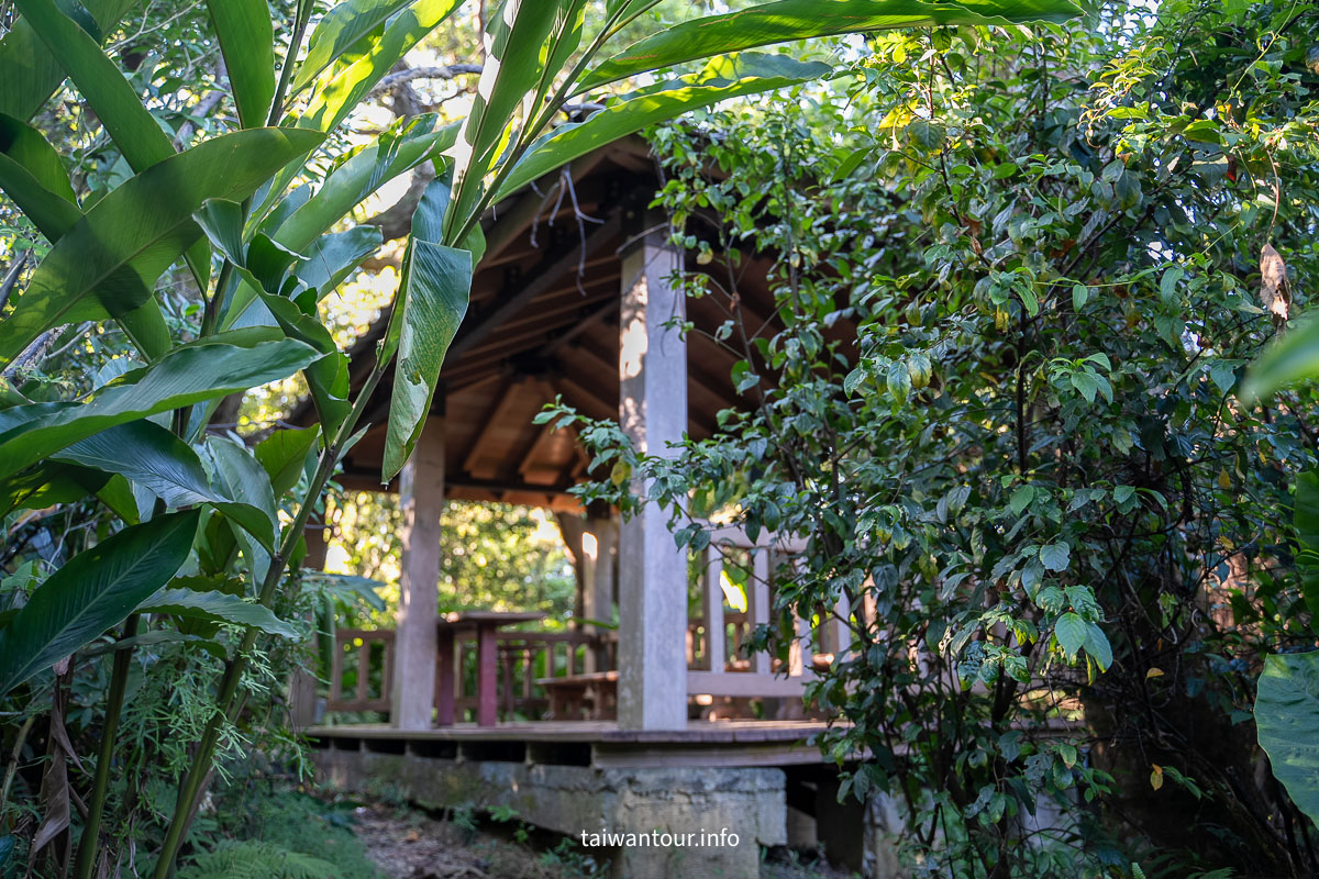【富陽自然生態公園】台北森林系秘密基地完整指南