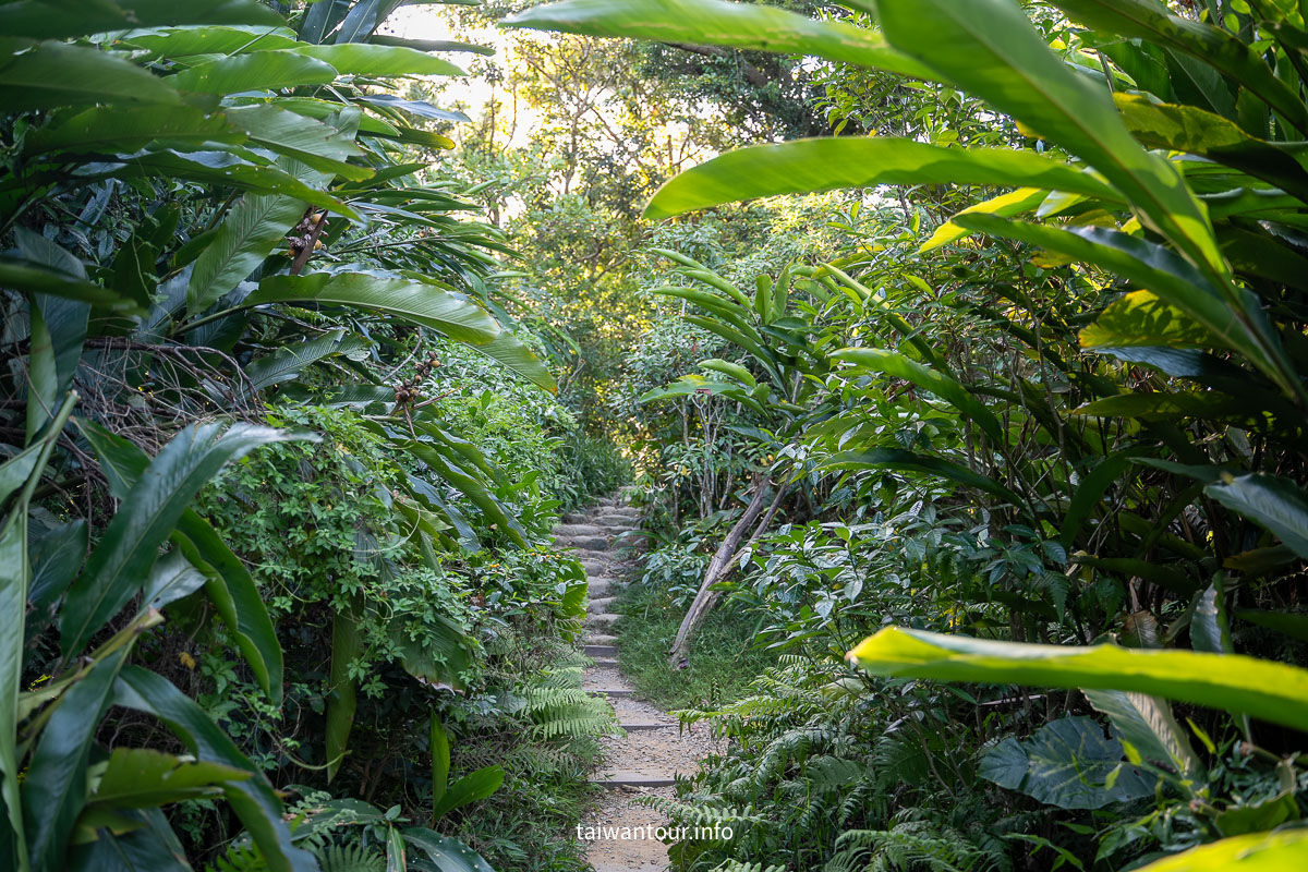 【富陽自然生態公園】台北森林系秘密基地完整指南