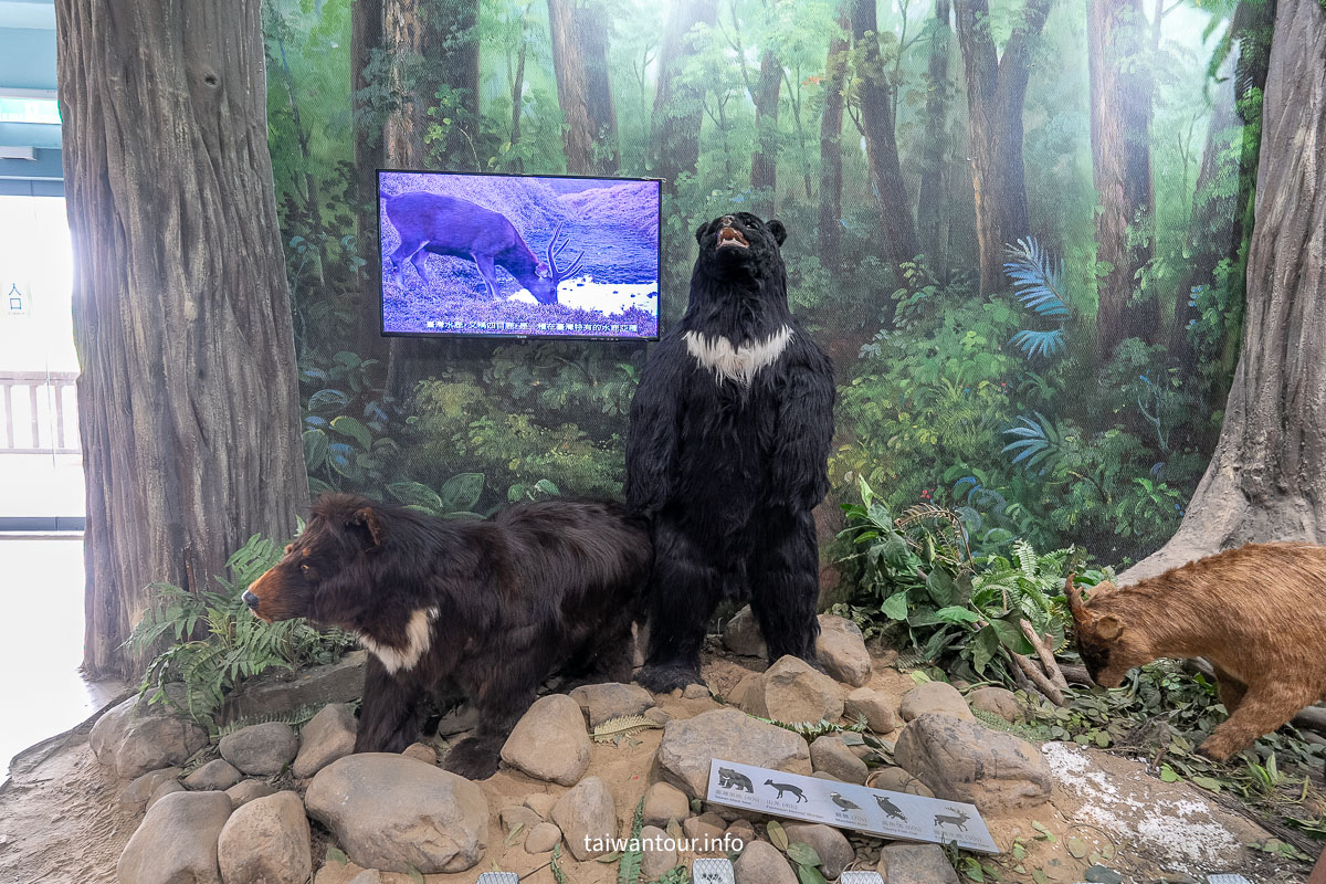 【雪霸國家公園管理處(汶水遊客中心)】免費親子景點!立體高山展示館與生態池攻略 【雪霸國家公園管理處(汶水遊客中心)】免費親子景點!立體高山展示館與生態池攻略