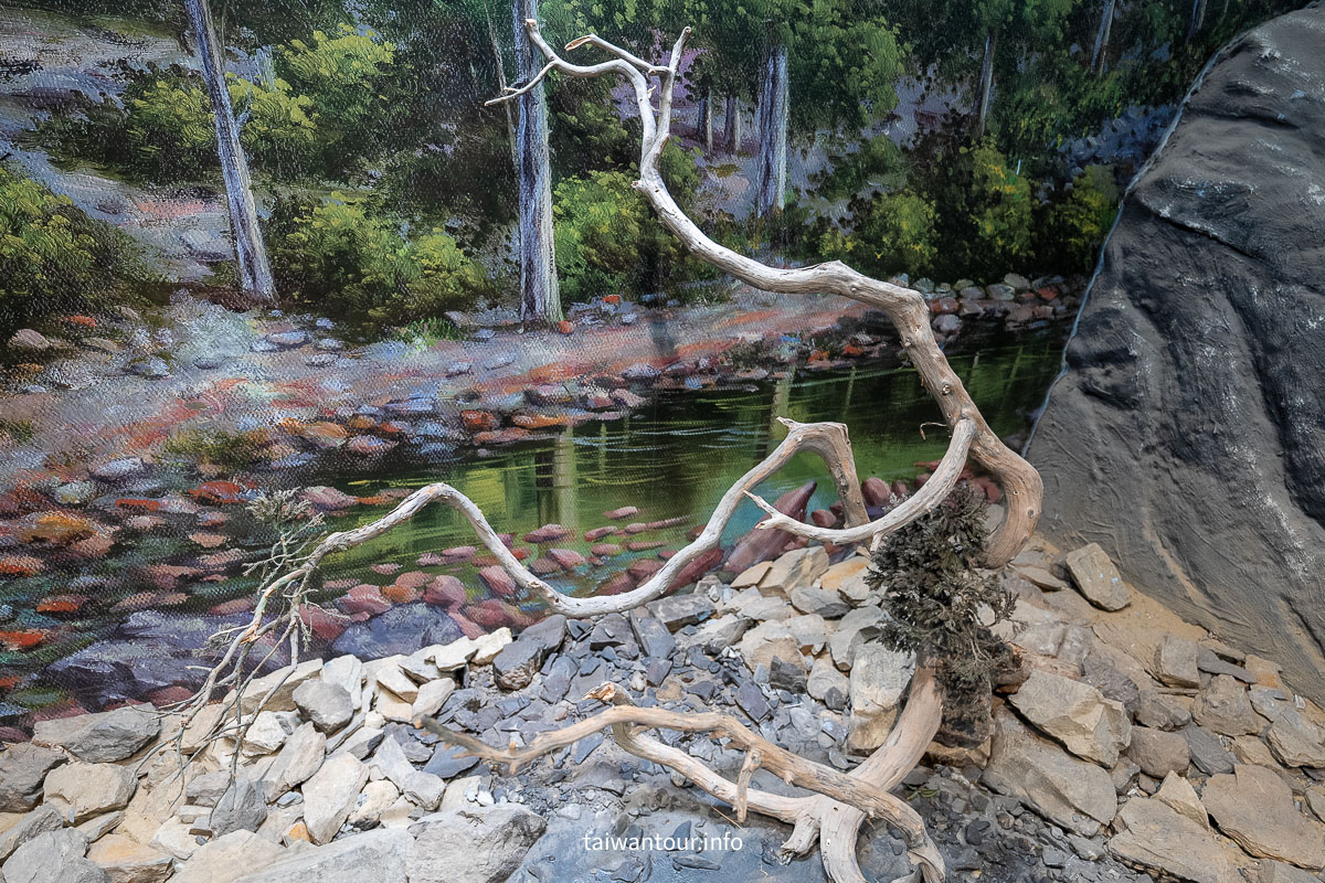 【雪霸國家公園管理處（汶水遊客中心）】免費親子景點！立體高山展示館與生態池攻略