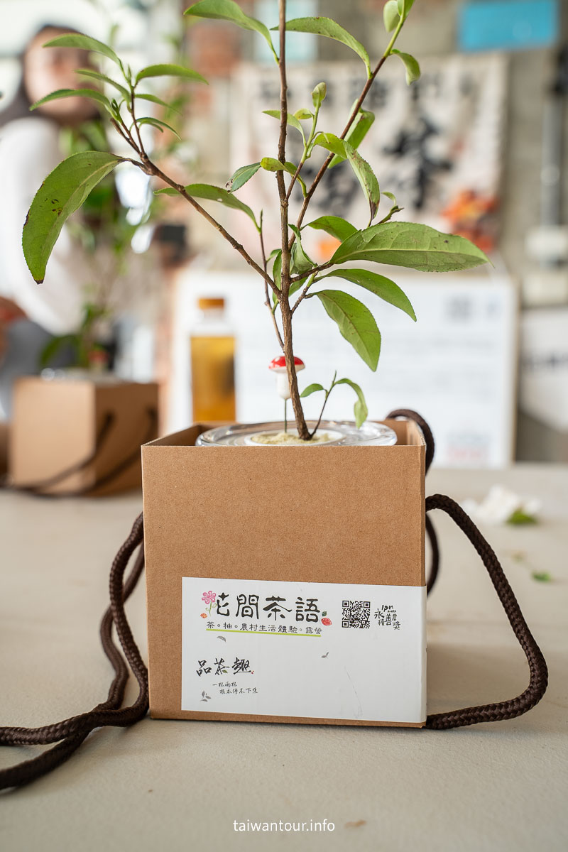 【2026宜蘭一日遊】一日行程推薦.茶園體驗、彩色飯糰DIY、甜點伴手禮 【2026宜蘭一日遊】一日行程推薦.茶園體驗、彩色飯糰DIY、甜點伴手禮