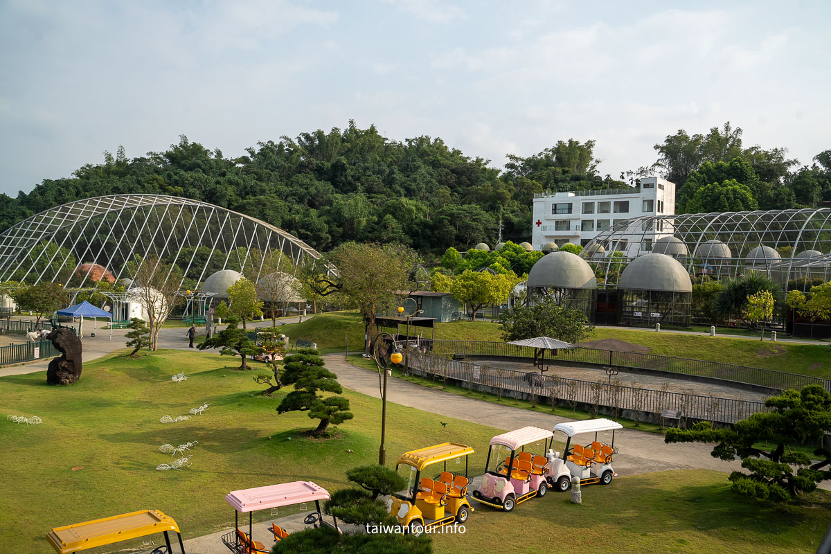 【九九峰動物樂園】南投草屯景點.巨型天網鳥籠.台版侏儸紀恐龍丘 【九九峰動物樂園】南投草屯景點.巨型天網鳥籠.台版侏儸紀恐龍丘