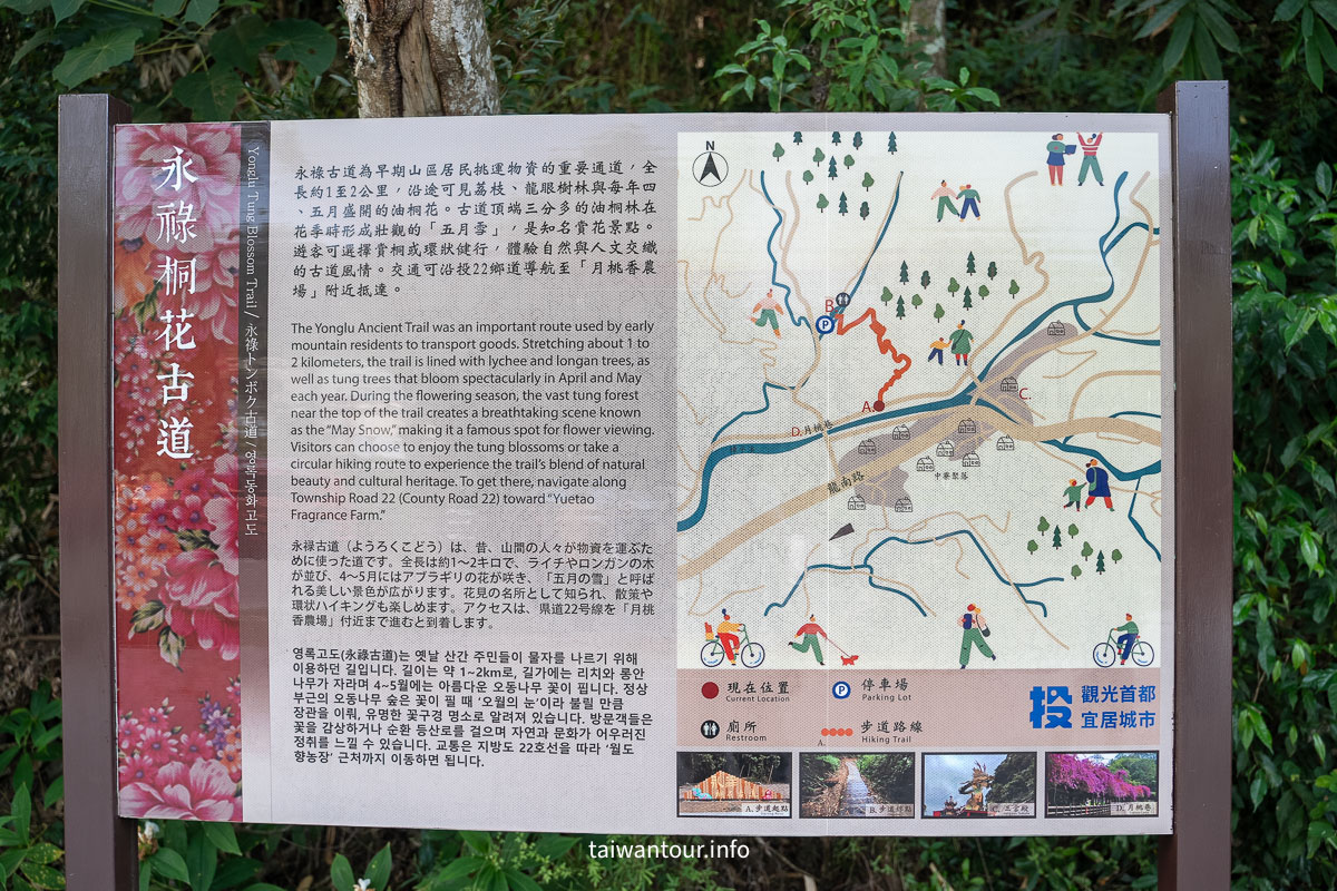 【永祿桐花古道】南投中寮鄉親子步道推薦 【永祿桐花古道】南投中寮鄉親子步道推薦