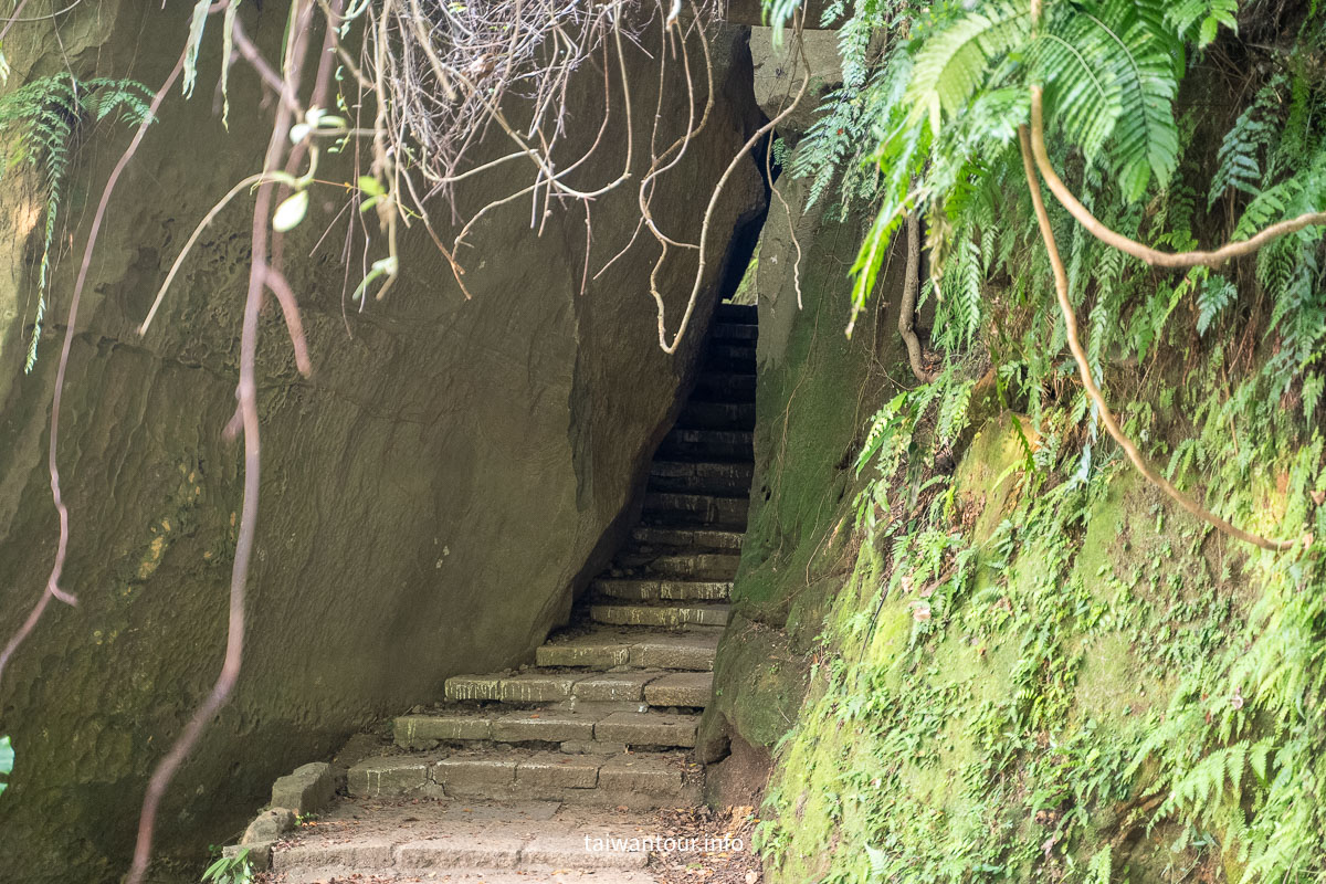 【四獸山縱走】從奉天宮站出發，虎山、豹山、獅山、象山一次走完