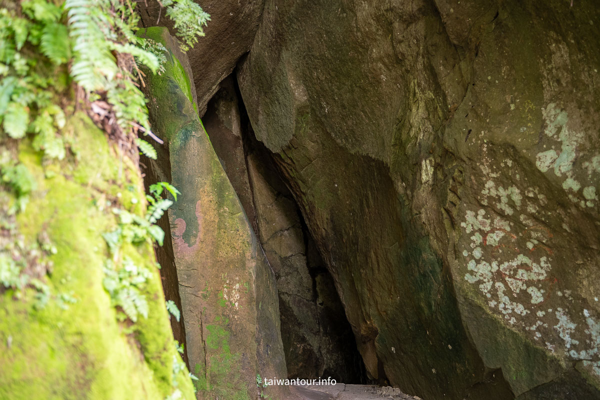 【四獸山縱走】從奉天宮站出發，虎山、豹山、獅山、象山一次走完