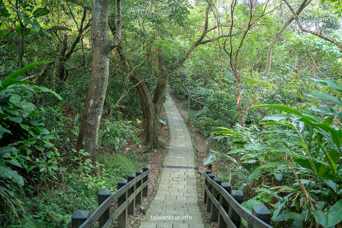 【象山步道】台北景點推薦信義區一線天.大石壁親子步道