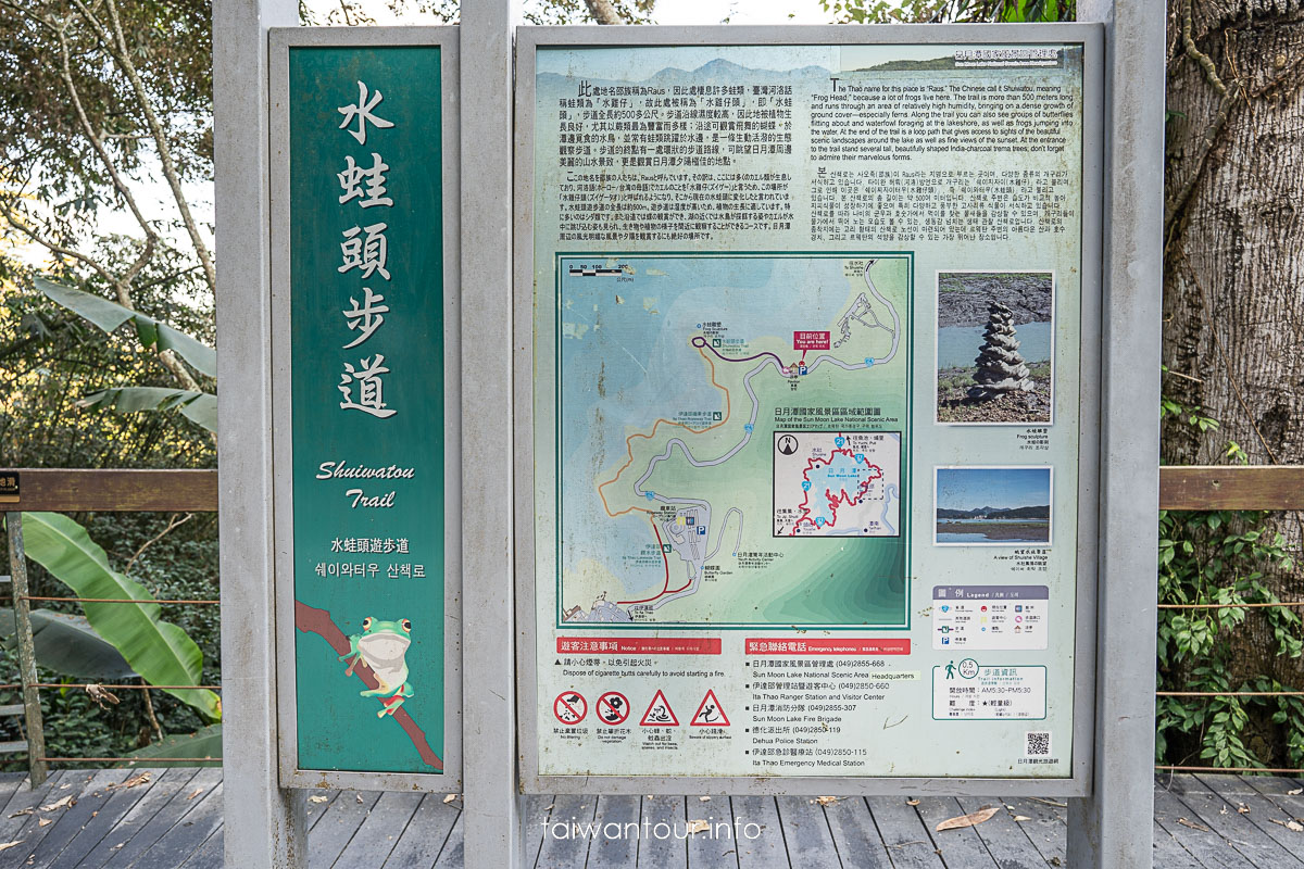 【日月潭水蛙頭步道】看九蛙不用碰運氣！交通、停車、竹林步道秘境與拍照技巧一次看
