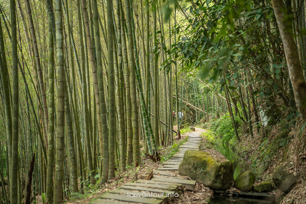 【長源圳生態步道(古道)】南投鹿谷百年水圳步道,竹林、流水與林爽文古戰場 【長源圳生態步道(古道)】南投鹿谷百年水圳步道,竹林、流水與林爽文古戰場