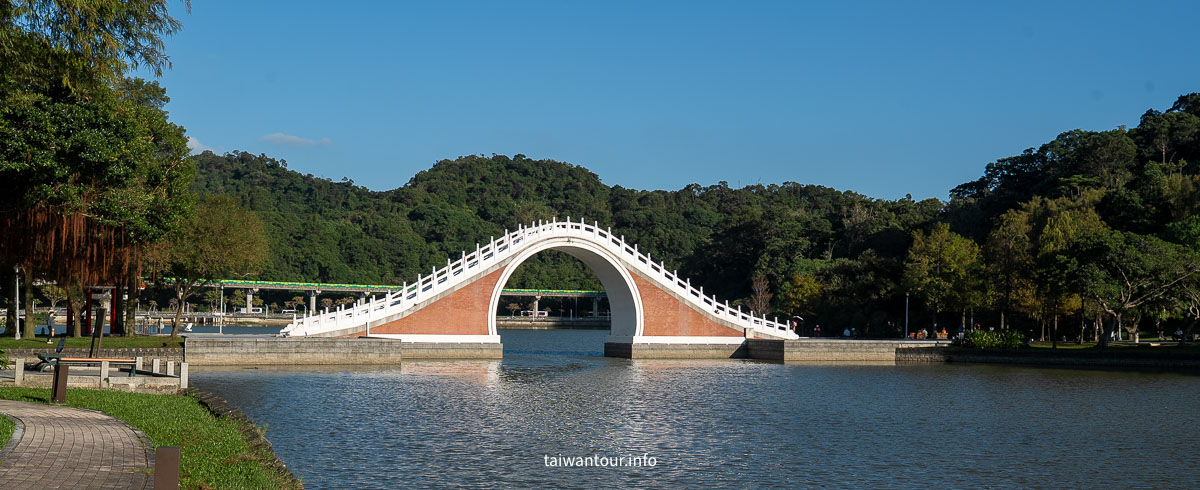 【大湖公園】台北捷運就能到.落羽松秘境與野餐攻略一次看