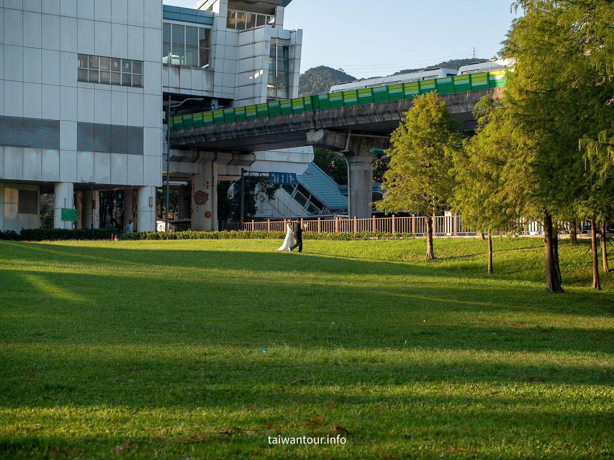【大湖公園】台北捷運就能到.落羽松秘境與野餐攻略一次看