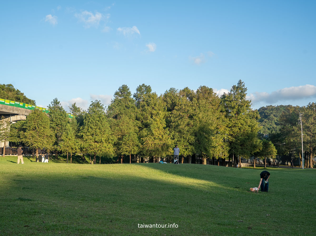 【大湖公園】台北捷運就能到.落羽松秘境與野餐攻略一次看