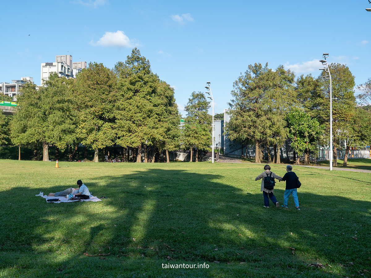 【大湖公園】台北捷運就能到.落羽松秘境與野餐攻略一次看