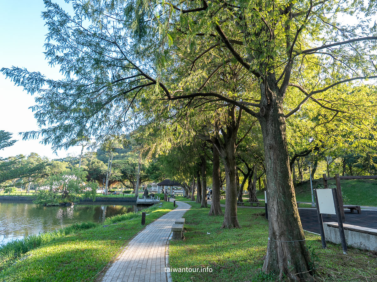 【大湖公園】台北捷運就能到.落羽松秘境與野餐攻略一次看