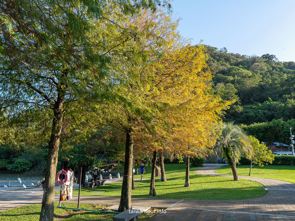 【大湖公園】台北捷運就能到.落羽松秘境與野餐攻略一次看