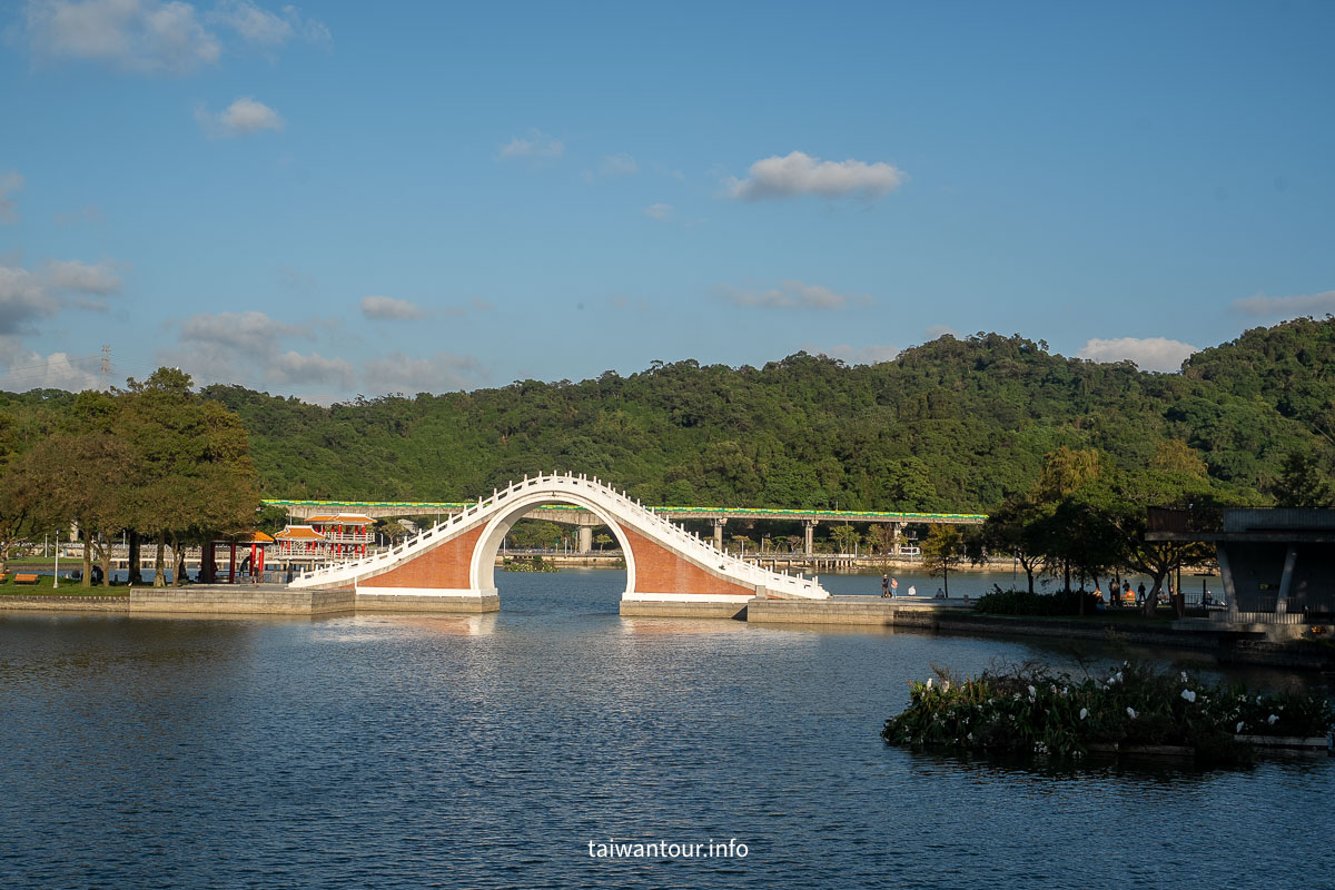 【大湖公園】台北捷運就能到.落羽松秘境與野餐攻略一次看