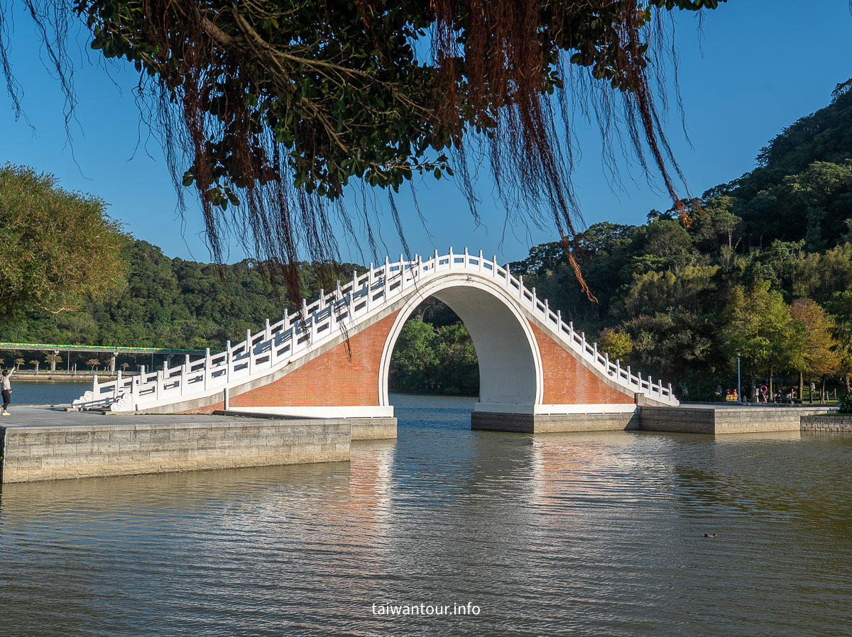 【大湖公園】台北捷運就能到.落羽松秘境與野餐攻略一次看