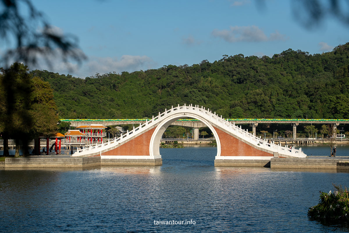 【大湖公園】台北捷運就能到.落羽松秘境與野餐攻略一次看