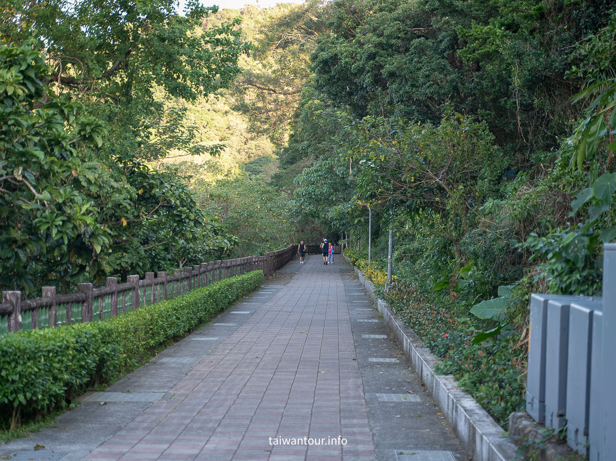 【大湖公園】台北捷運就能到.落羽松秘境與野餐攻略一次看