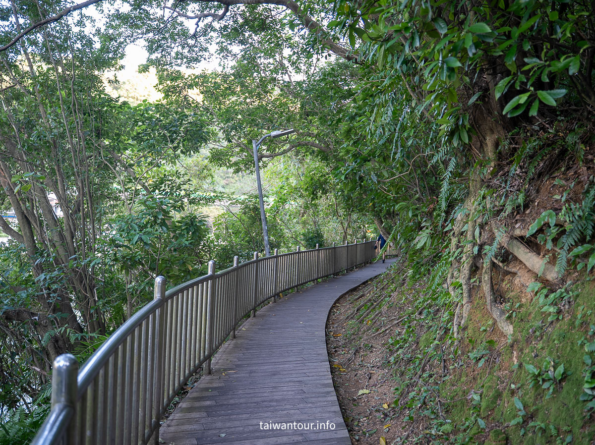 【大湖公園】台北捷運就能到.落羽松秘境與野餐攻略一次看