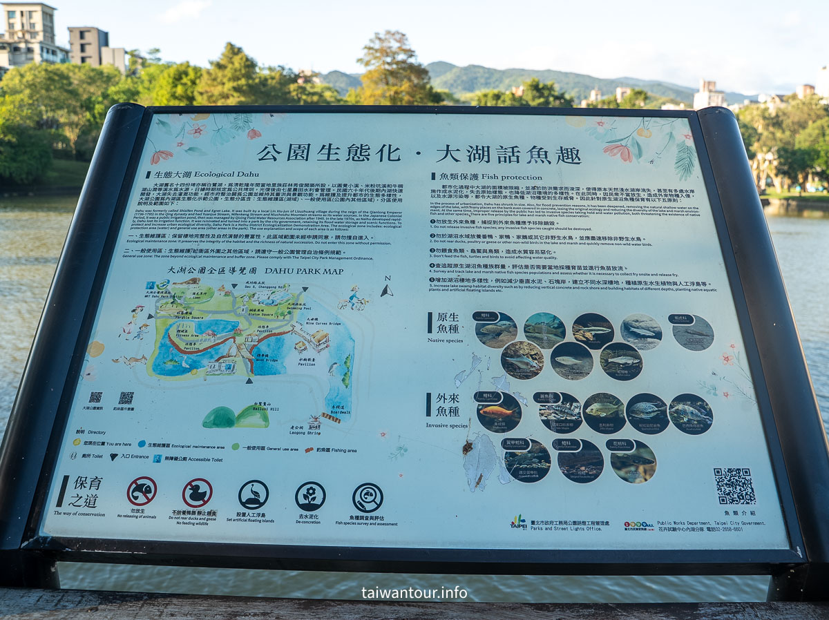 【大湖公園】台北捷運就能到.落羽松秘境與野餐攻略一次看