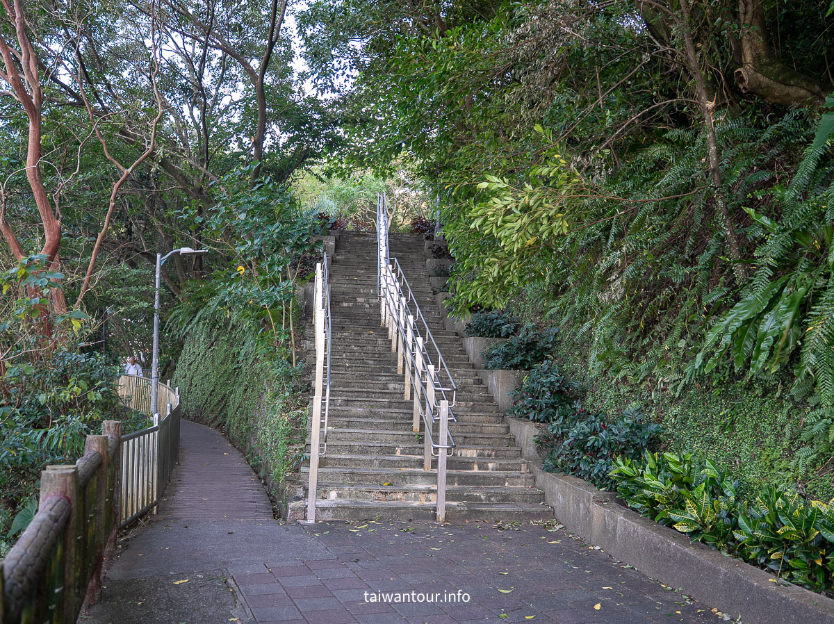 【大湖公園】台北捷運就能到.落羽松秘境與野餐攻略一次看