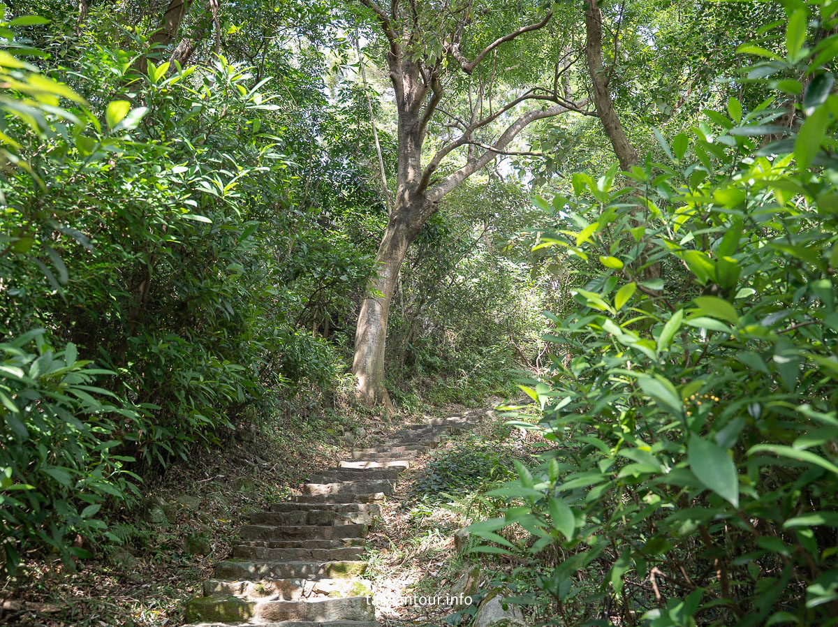 【忠義山步道】北投景點交通與北藝大一日遊推薦
