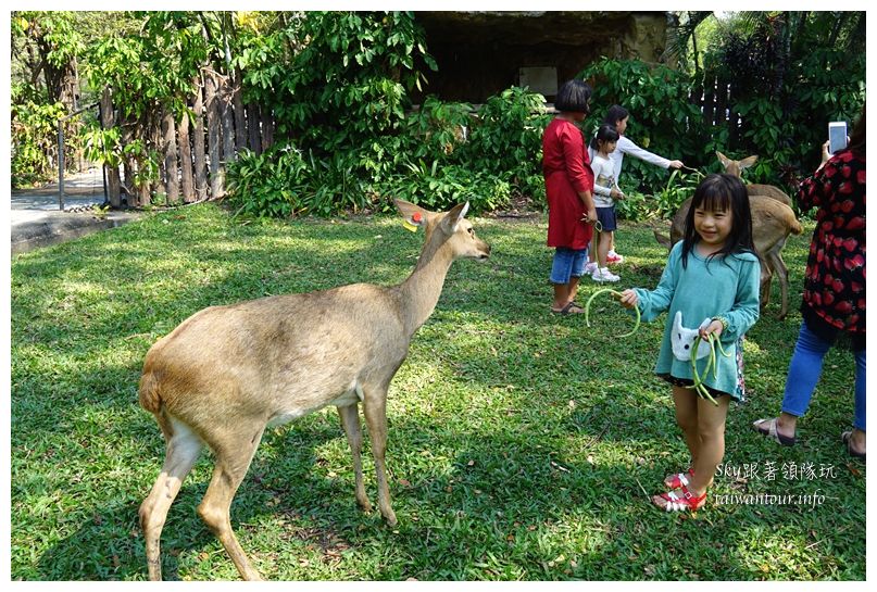 泰國親子旅遊綠山動物園kheow kheow00086